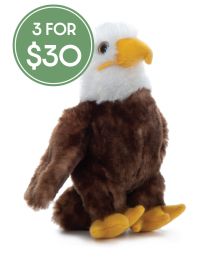 Hug 'Ems Eagle